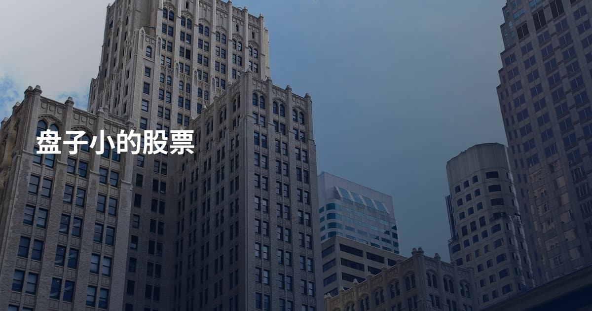 盘子小的股票