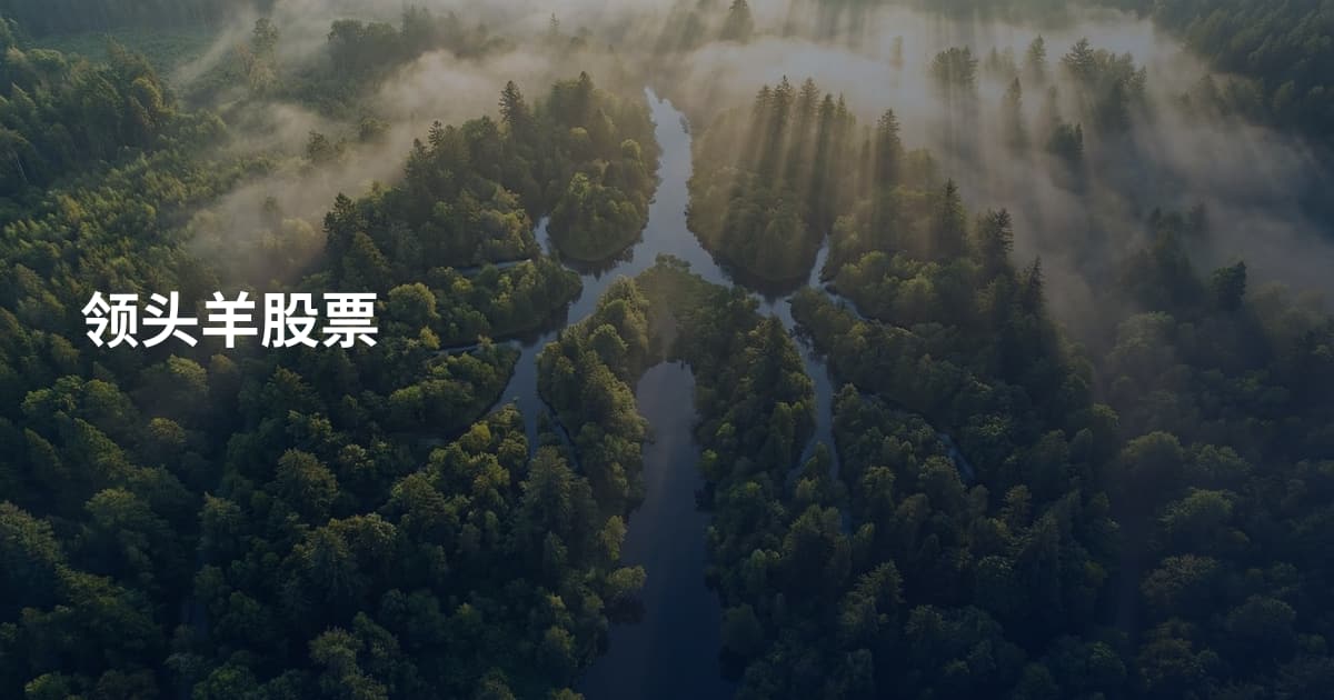 领头羊股票