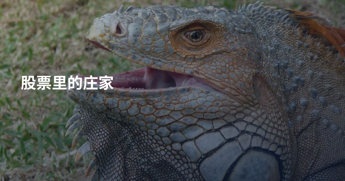 股票里的庄家