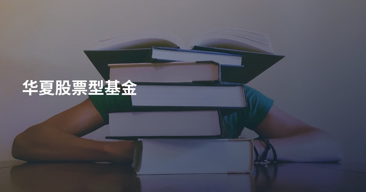 华夏股票型基金