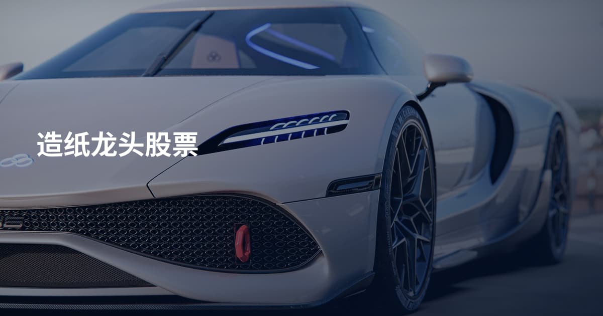 造纸龙头股票
