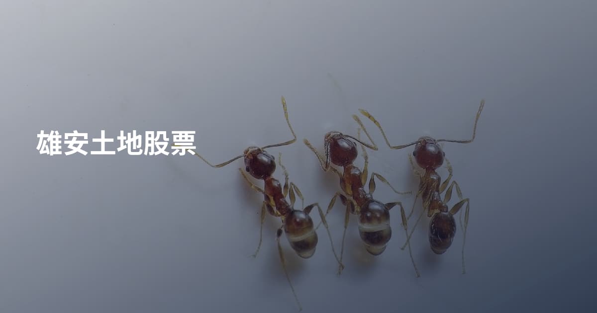 雄安土地股票