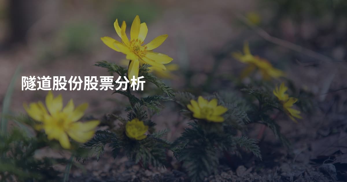 隧道股份股票分析
