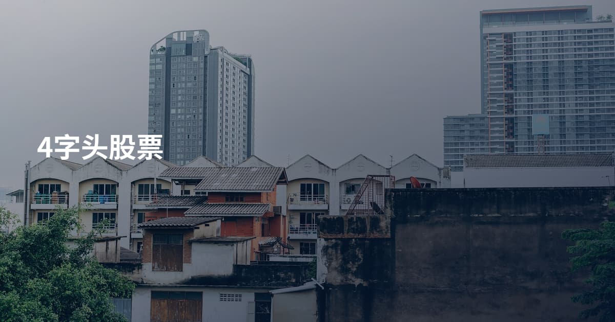 4字头股票