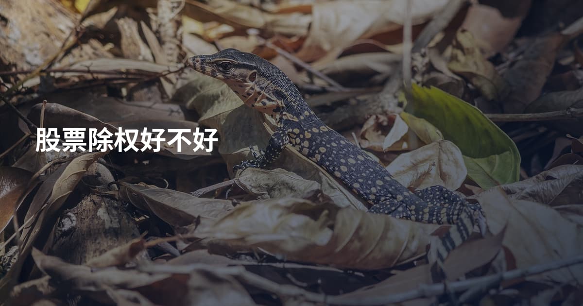 股票除权好不好