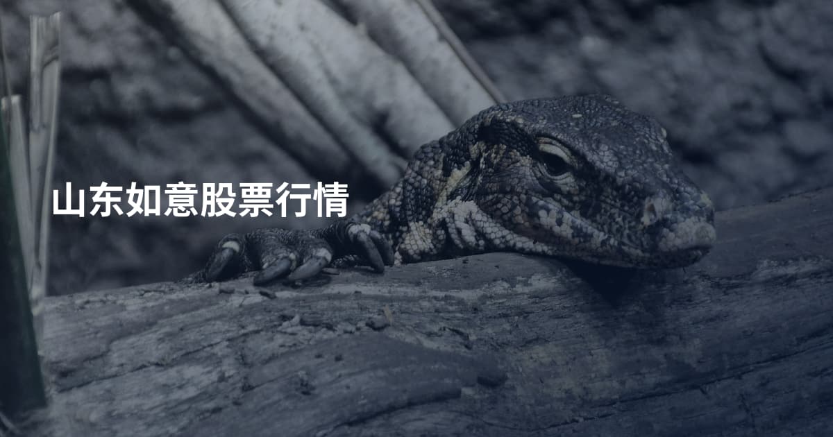 山东如意股票行情