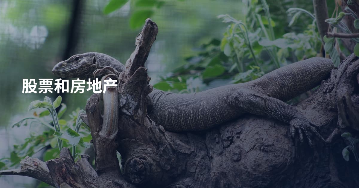股票和房地产