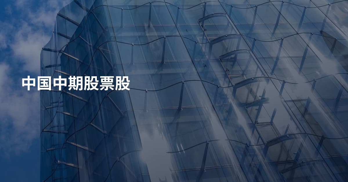 中国中期股票股