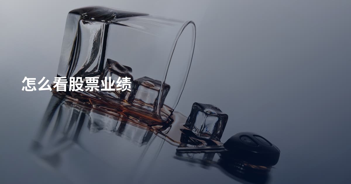 怎么看股票业绩