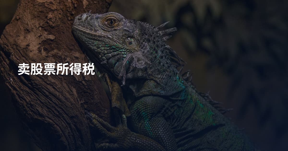 卖股票所得税
