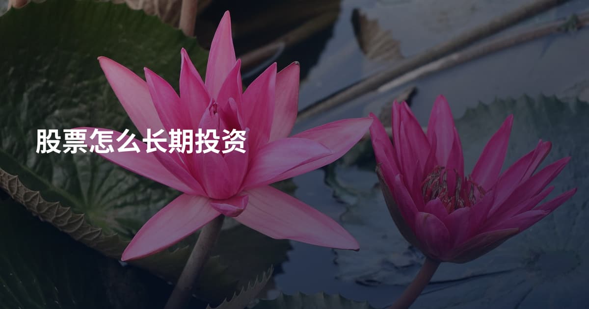 股票怎么长期投资
