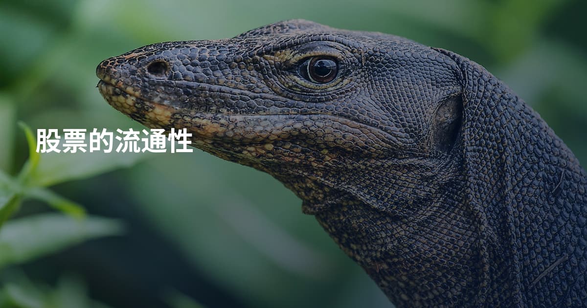 股票的流通性