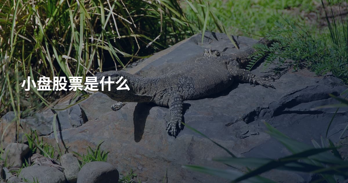 小盘股票是什么