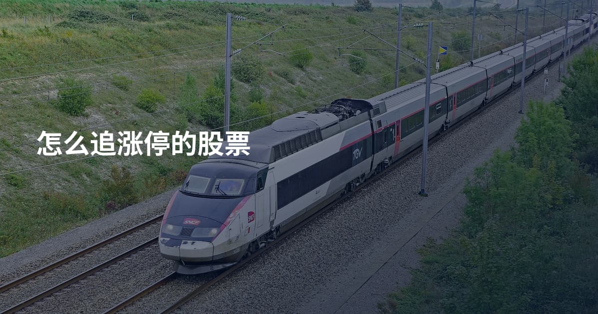 怎么追涨停的股票