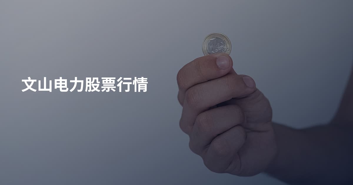 文山电力股票行情