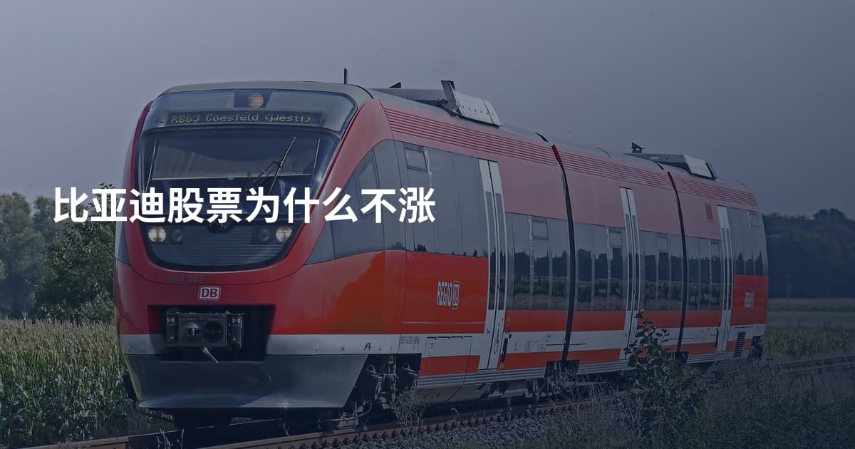 比亚迪股票为什么不涨