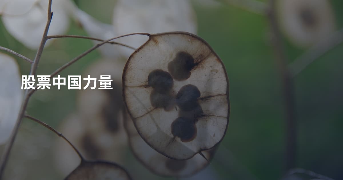 股票中国力量