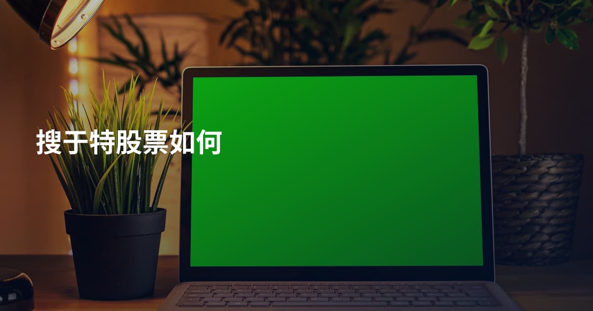 搜于特股票如何