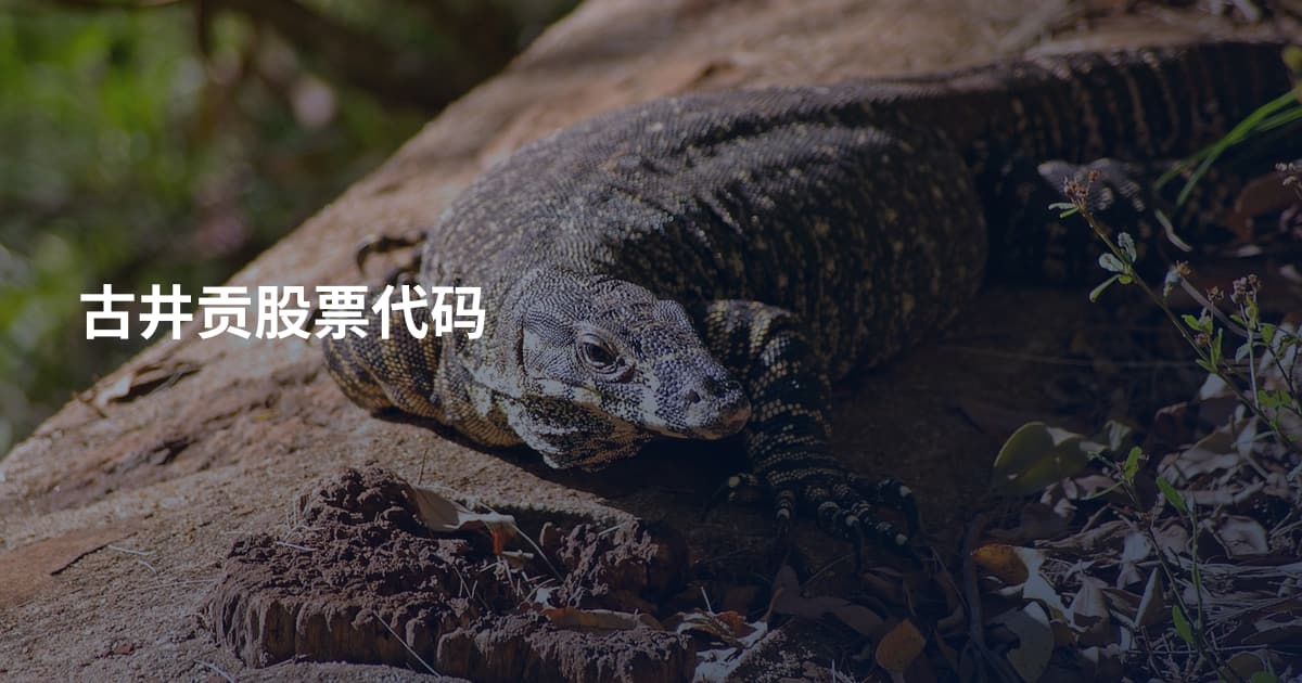 古井贡股票代码
