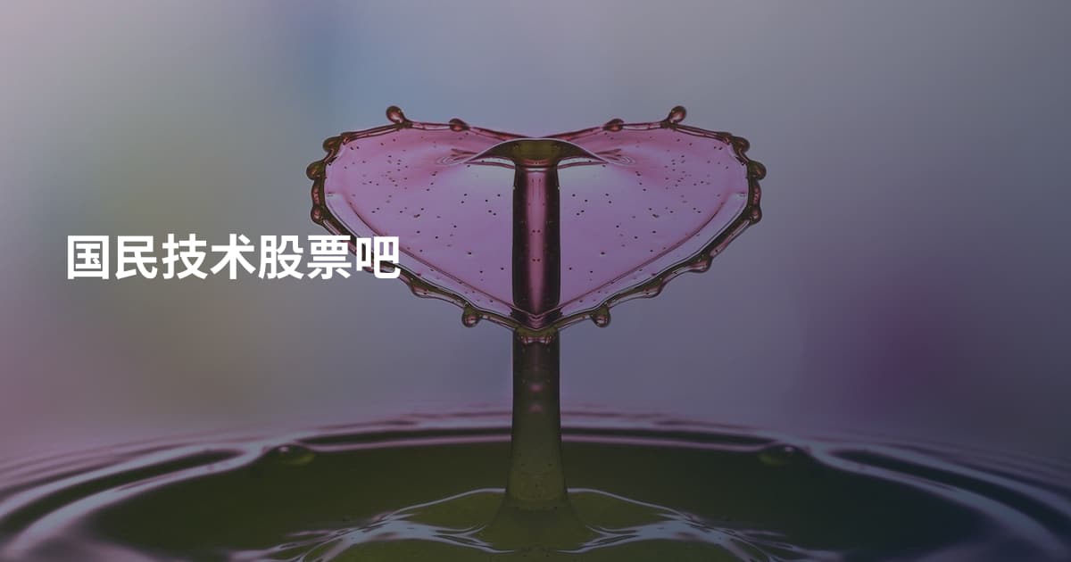 国民技术股票吧