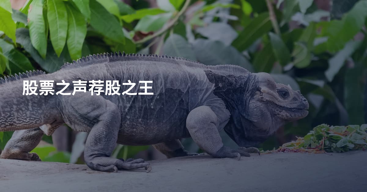 股票之声荐股之王