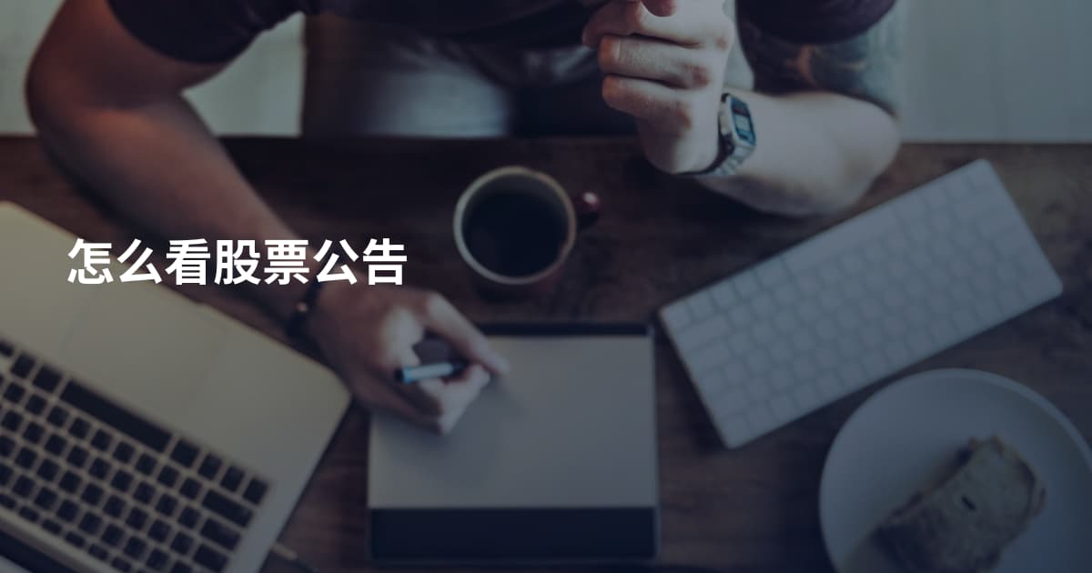 怎么看股票公告