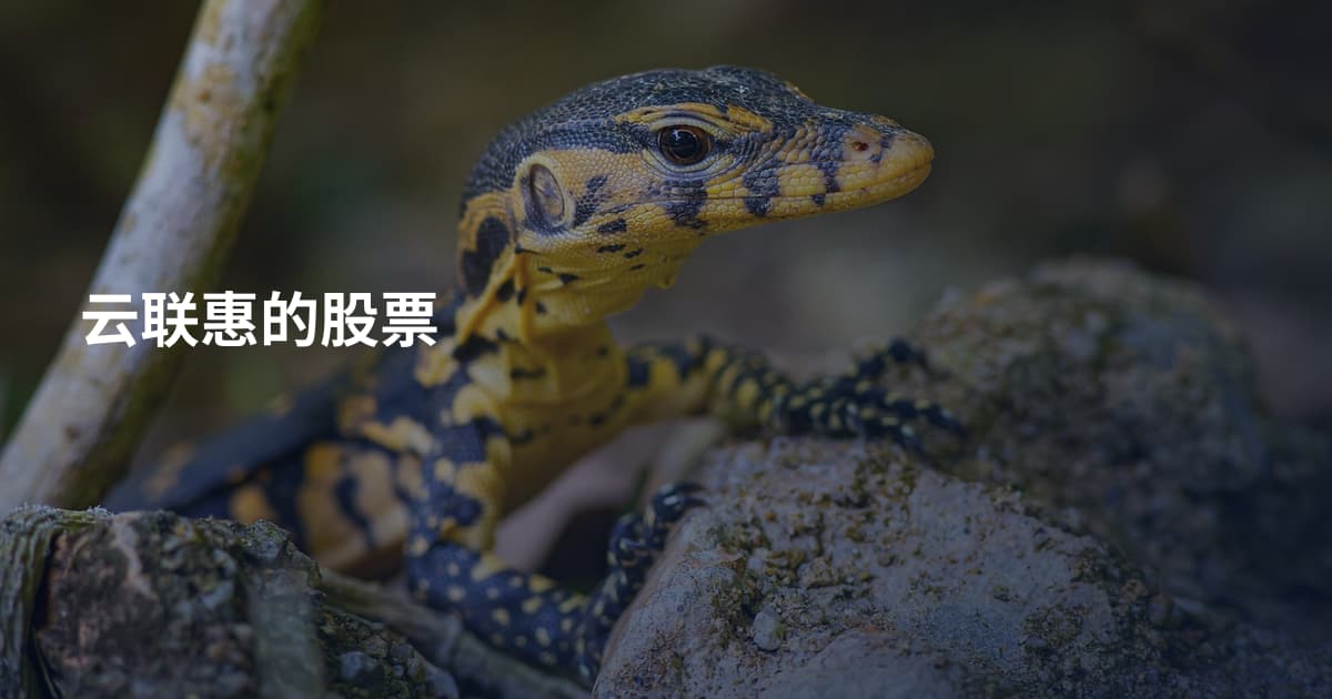 云联惠的股票
