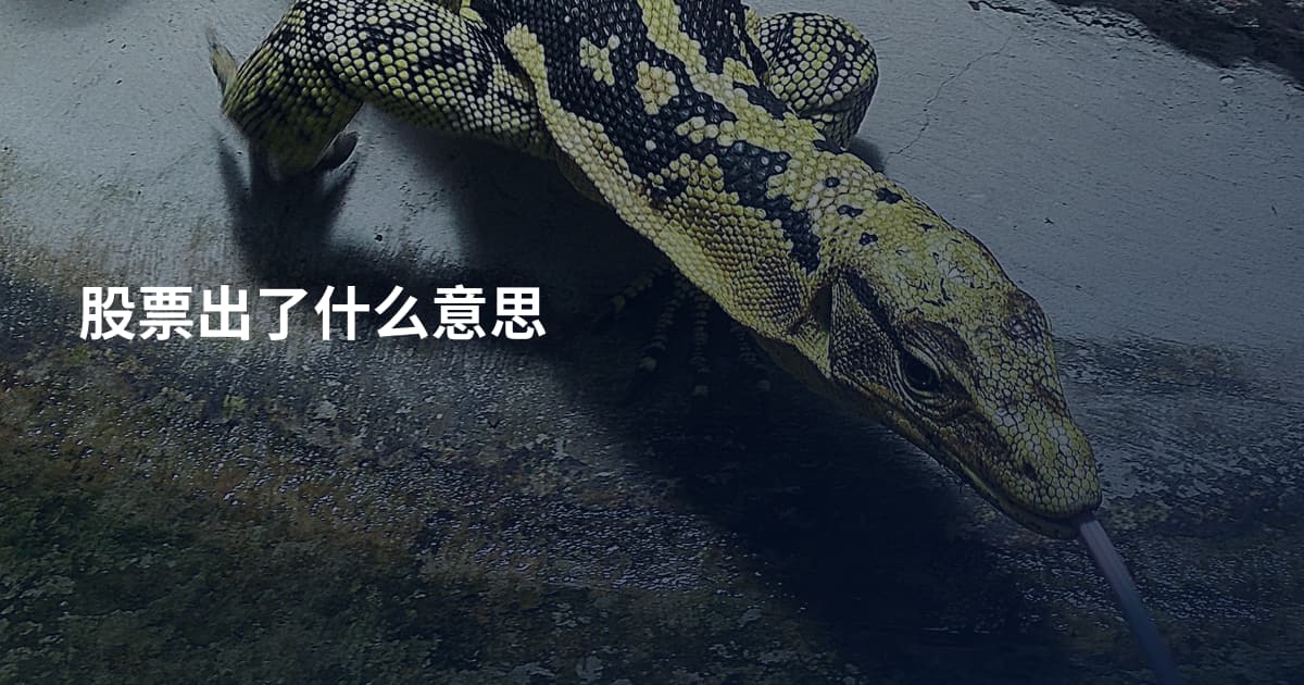 股票出了什么意思