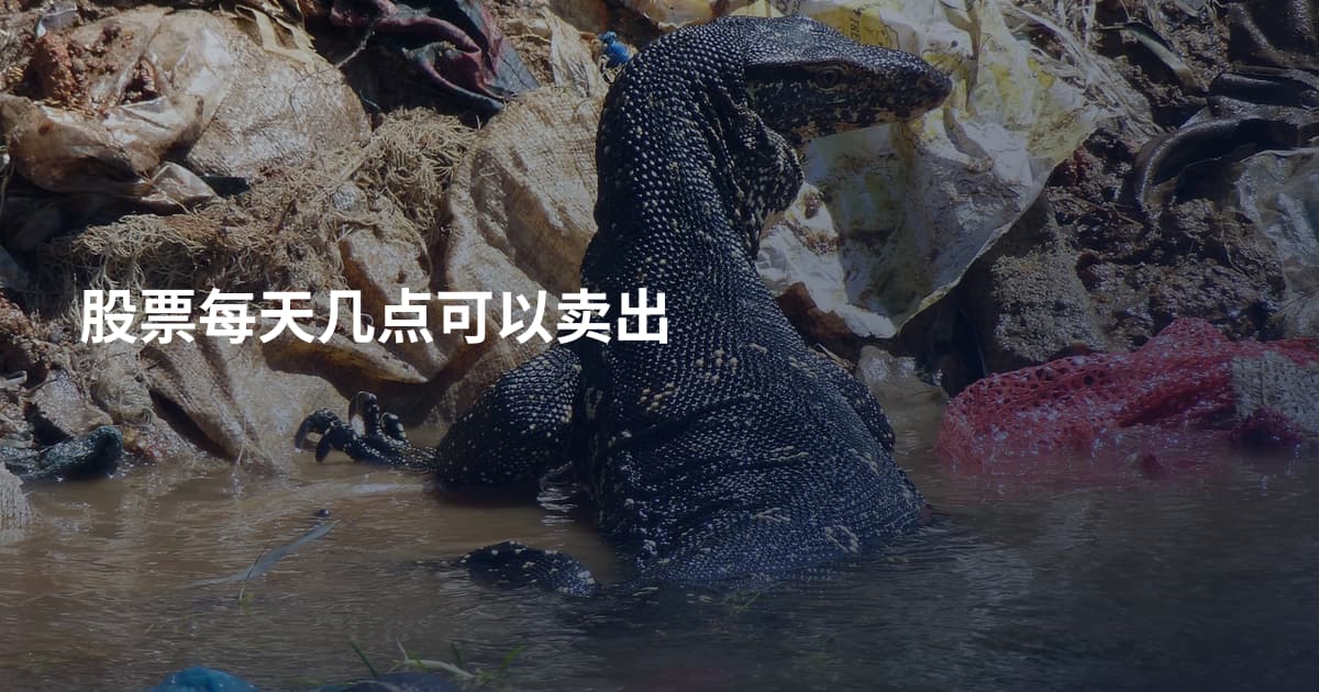 股票每天几点可以卖出