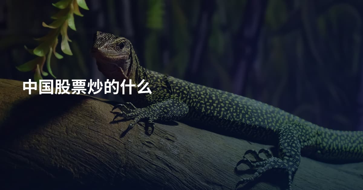 中国股票炒的什么