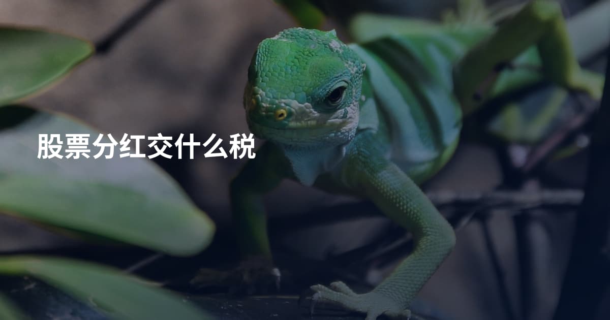 股票分红交什么税