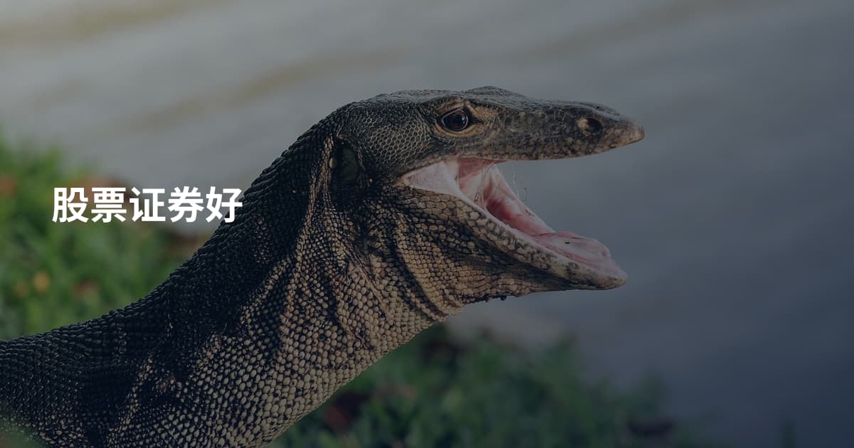 股票证券好