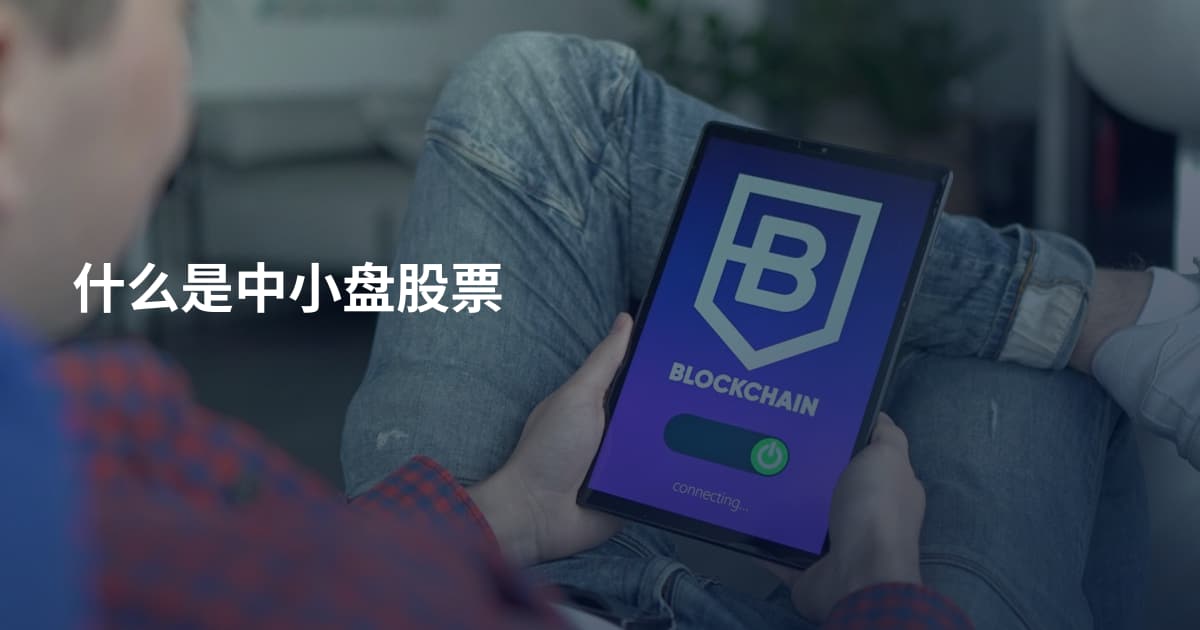 什么是中小盘股票