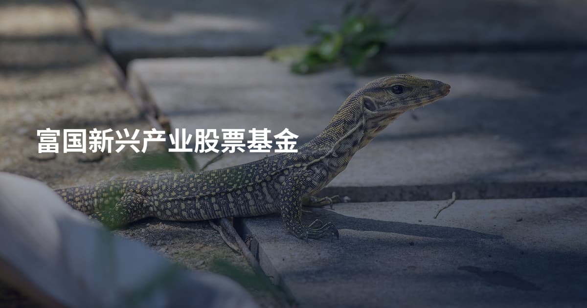 富国新兴产业股票基金