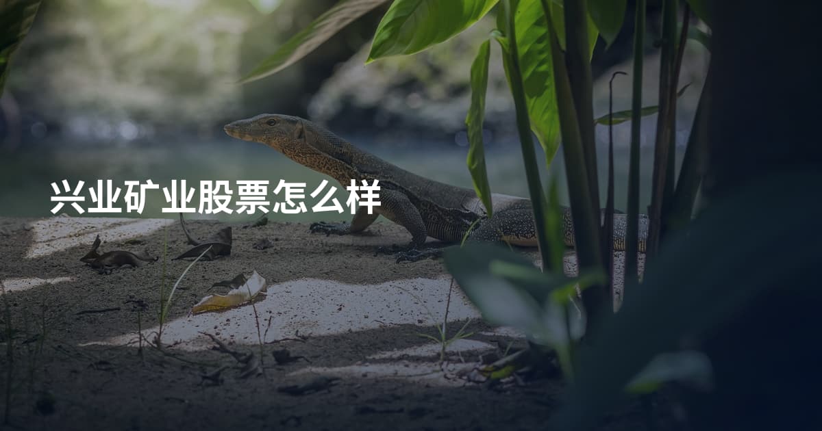 兴业矿业股票怎么样