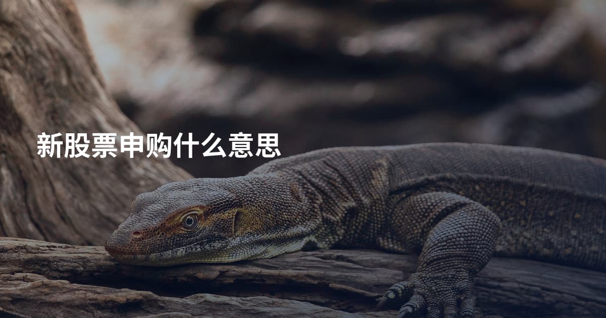 新股票申购什么意思