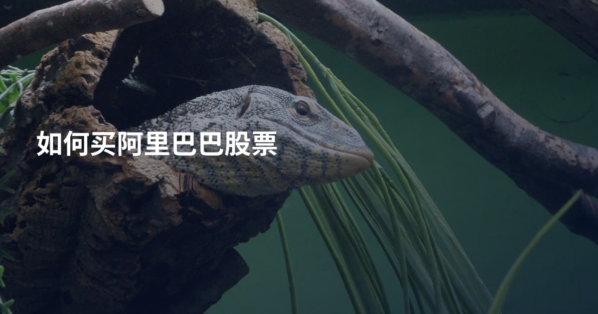 如何买阿里巴巴股票