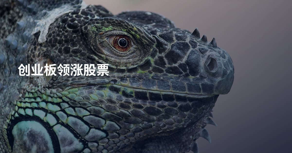 创业板领涨股票