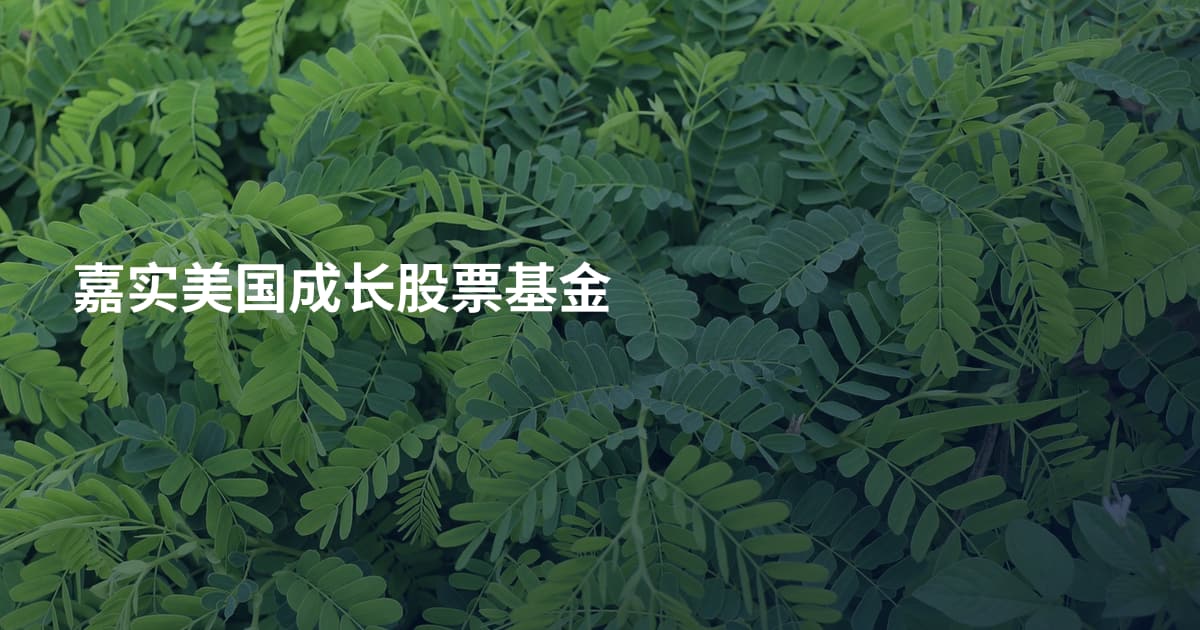 嘉实美国成长股票基金
