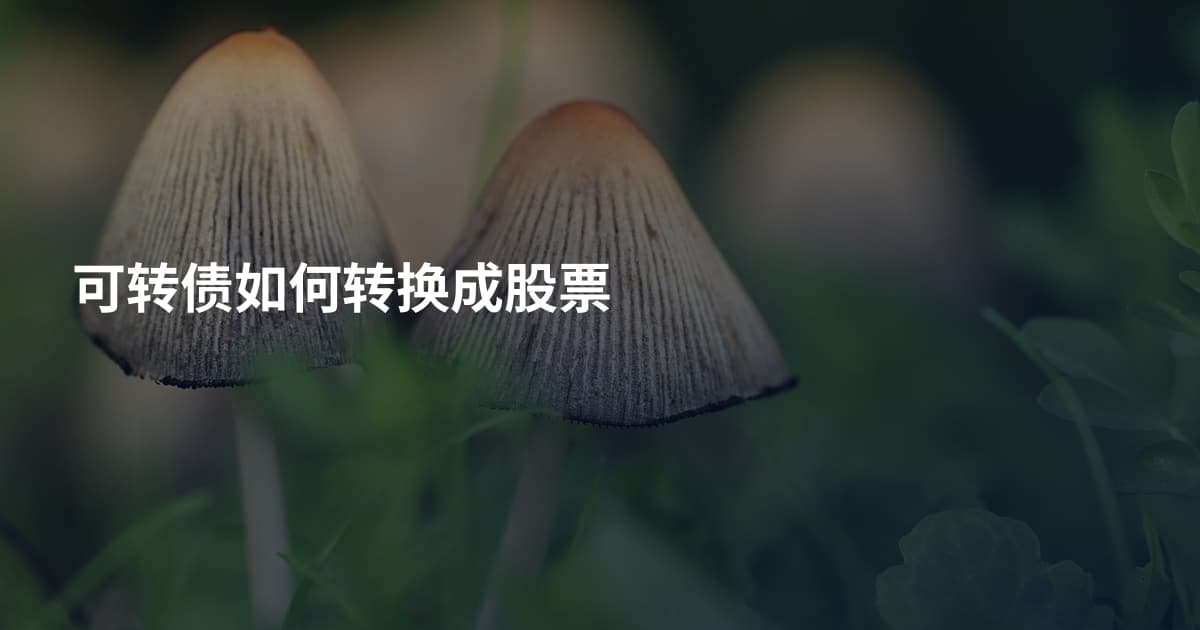 可转债如何转换成股票