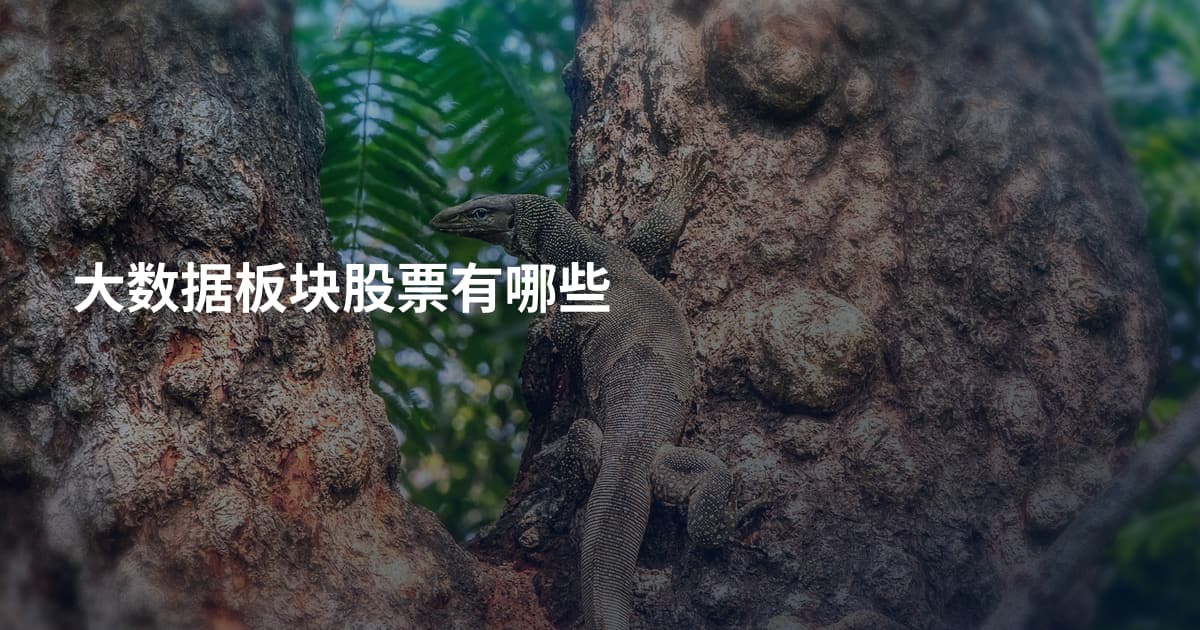 大数据板块股票有哪些
