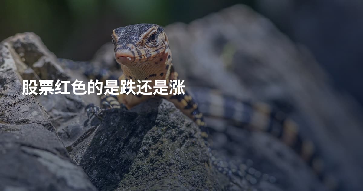 股票红色的是跌还是涨