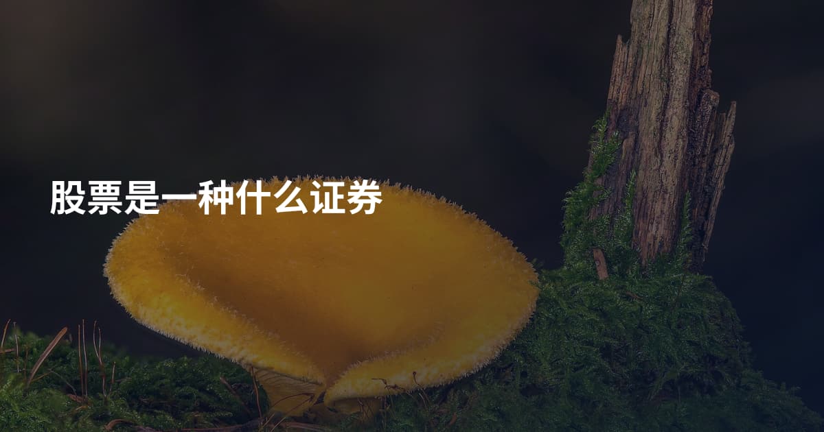 股票是一种什么证券