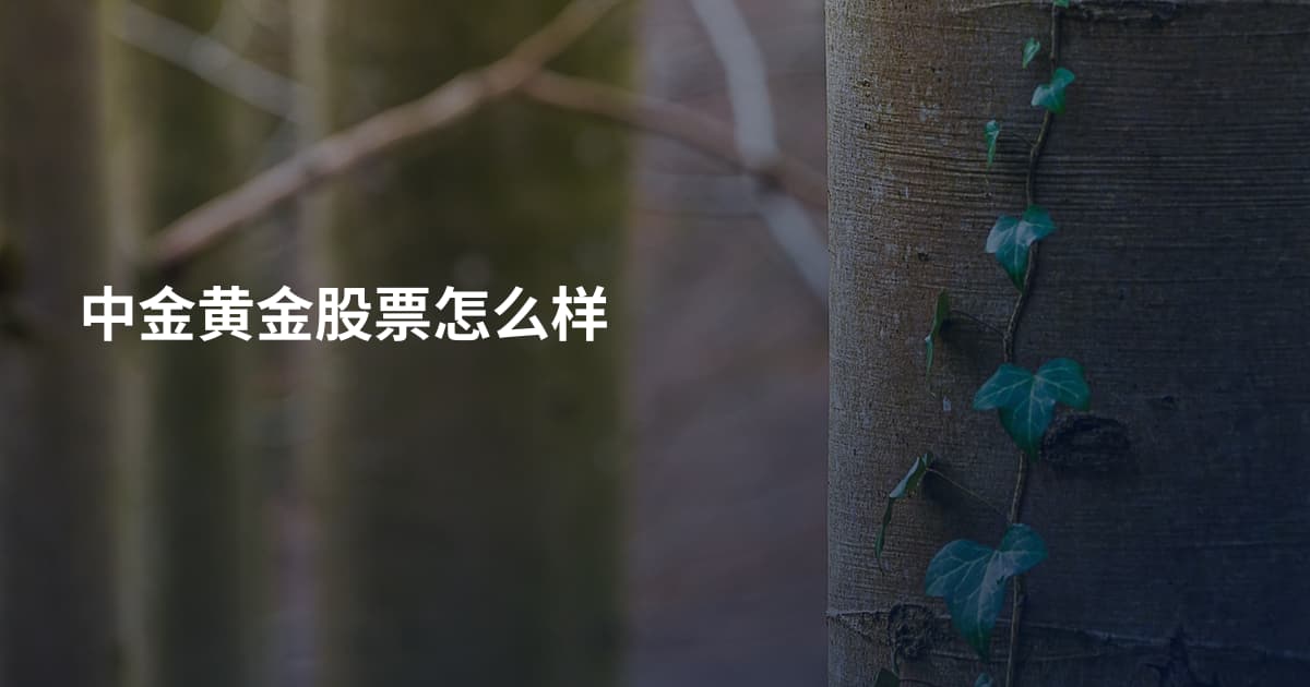 中金黄金股票怎么样