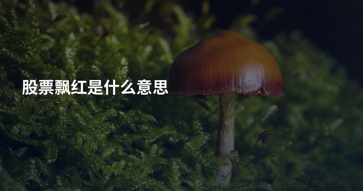 股票飘红是什么意思