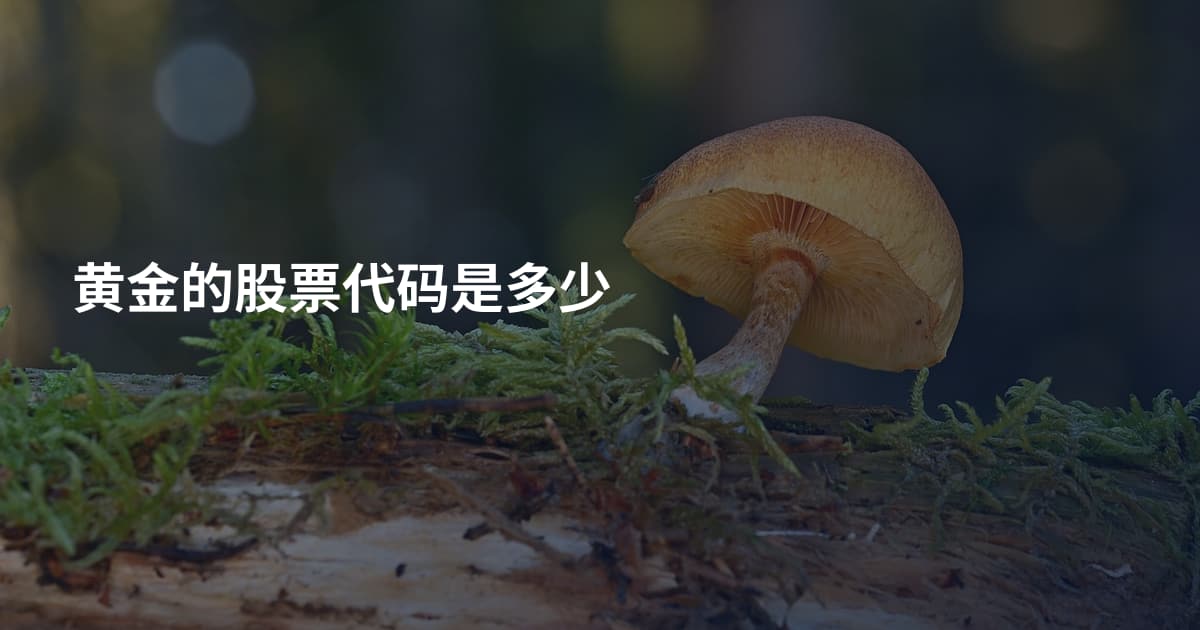 黄金的股票代码是多少