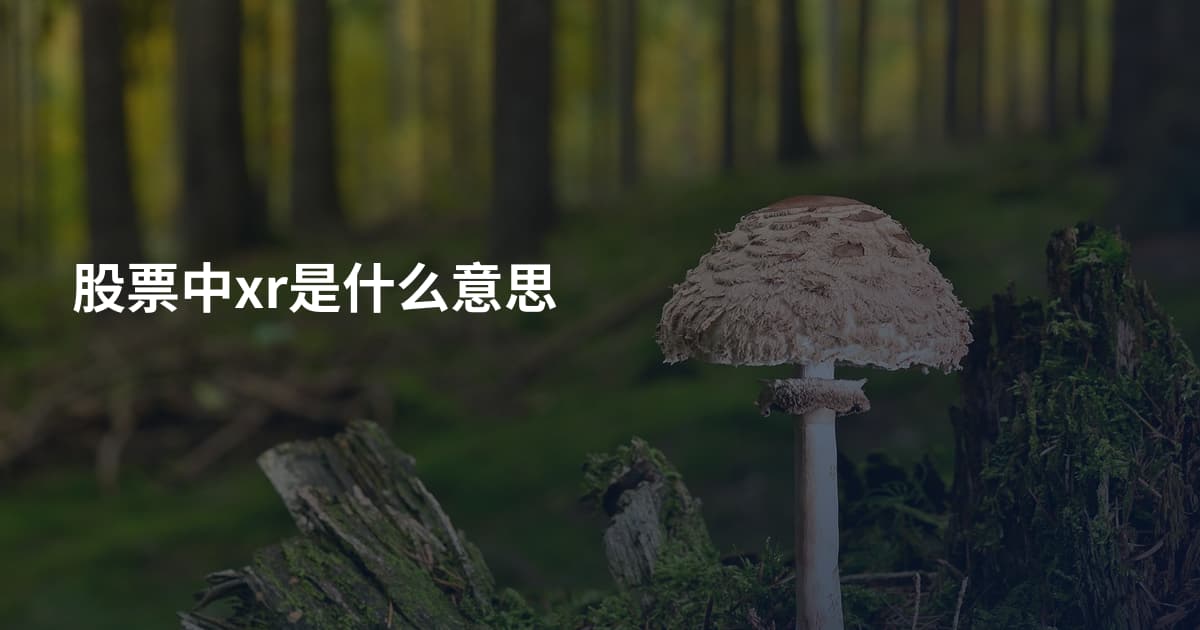 股票中xr是什么意思