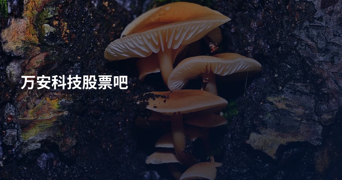 万安科技股票吧