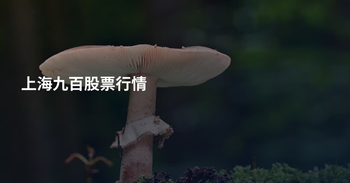上海九百股票行情