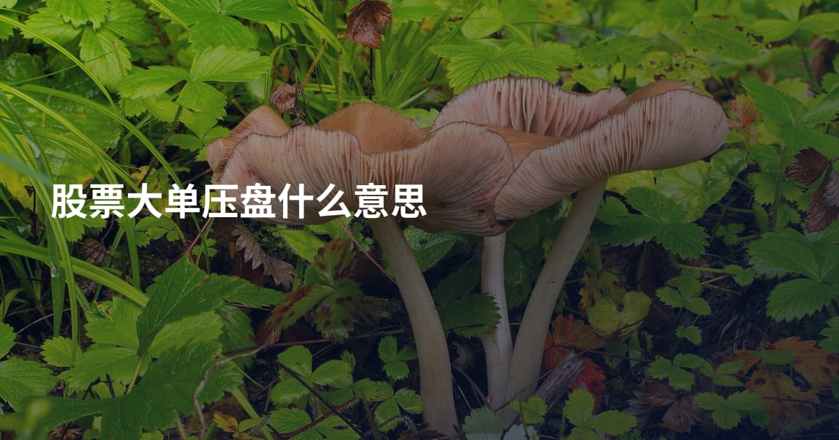 股票大单压盘什么意思